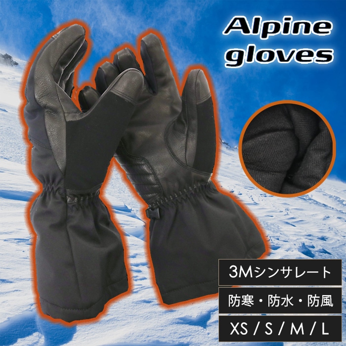 Hestra Alpine Pro グローブ サイズ8 ブラック Hestra Alpine Pro グローブ サイズ8 ブラック