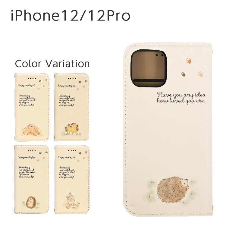 iPhone 12 / 12 Pro ˥ޥ Ģ