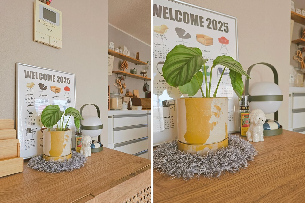 PLANTS' RUG