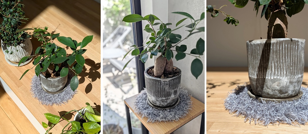 PLANTS' RUG