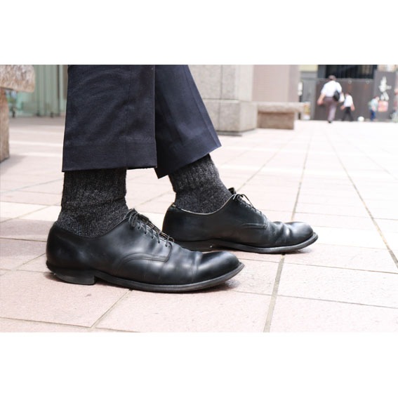 ��365��Ư��­�ˤ䤵��������  2020AW