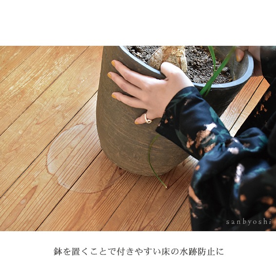 PLANTS' RUG (ץĥ饰)calmland