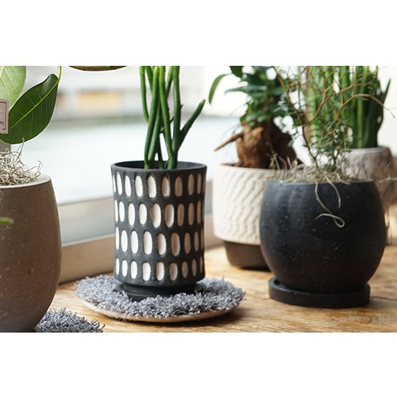 PLANTS' RUG (ץĥ饰)calmland