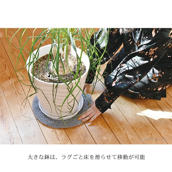 PLANTS' RUG (ץĥ饰)calmland