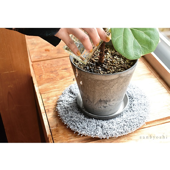 PLANTS' RUG (ץĥ饰)calmland