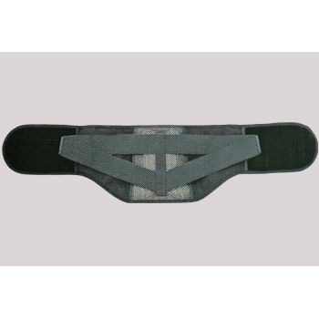 �Хå��쥹���塼�٥�ȡ������󥿥���