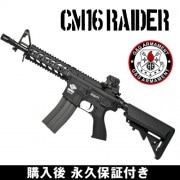 G&G CM16 Raider����ư���� ��ư�������� G&G ARMAMENT