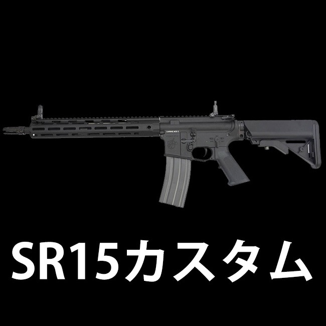 SR15】当店購入で保証書ありの場合は基本工賃4000円OFF | G&G機種別