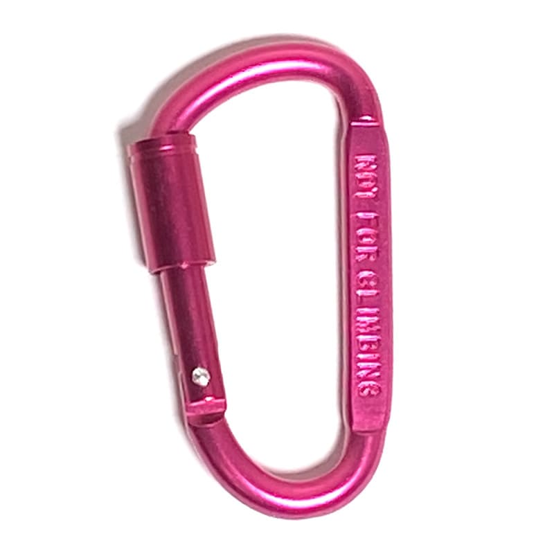 Rapidfire ���å������ե���ߥ˥��५��ӥ� Pink