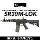 G&G SR30 M-LOK KNIGHT'S SERIES ��ư���� ��ư�������� G&G ARMAMENT