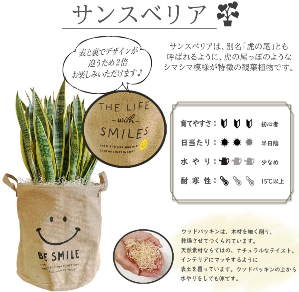 サンスベリア（大）麻袋付き サンスベリア 10号鉢 麻袋 にこちゃん 観葉植物 インテリア グリーン