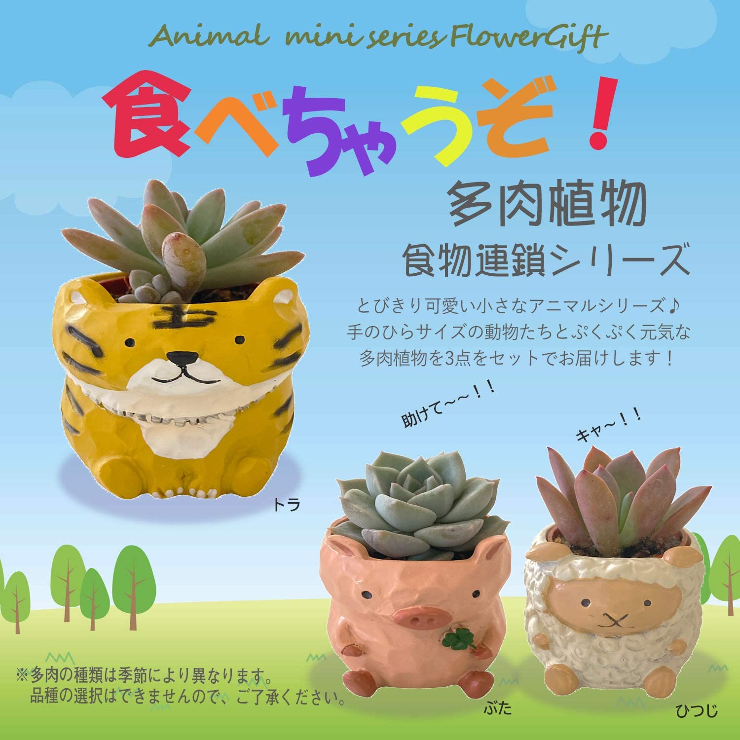 多肉 人気者 アニマル 新生活 陶器鉢 動物 インテリア 観葉植物 ギフト