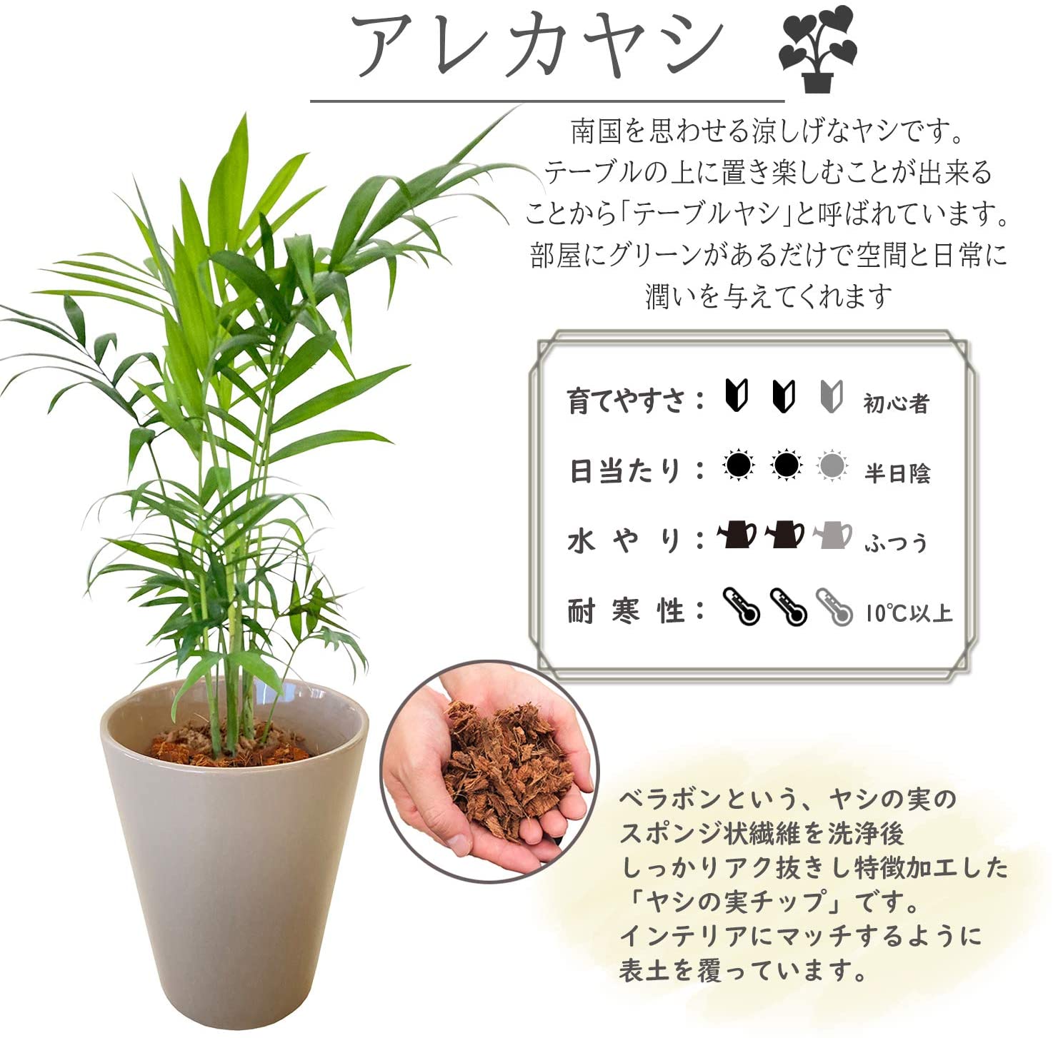 テーブルヤシ ヤシ 陶器 鉢植え 観葉植物 インテリア 在宅ワーク 背景 癒し グレー 観葉植物 おしゃれな観葉植物 安心と感動を送る フラワーギフト 花のギフト社 テーブルヤシ ヤシ 陶器 鉢植え 観葉植物 インテリア 在宅ワーク 背景 癒し グレー 観葉植物 おしゃれな観葉植物 安心と感動を送る フラワーギフト 花のギフト社