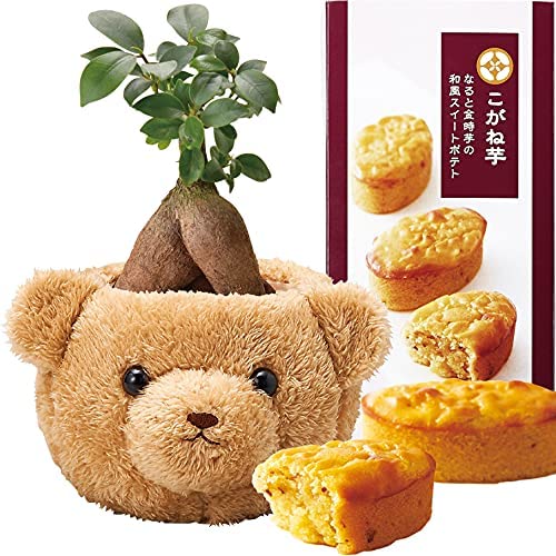 ������ޥ���� ¿������ ���� �Х����å� �����Ͱ� �������Ʋ �֤ȥ������� ȭ��