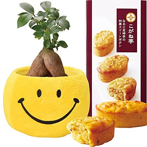 ������ޥ���� ¿������ ���ޥ��� �Х����å� �����Ͱ� �������Ʋ �֤ȥ�������