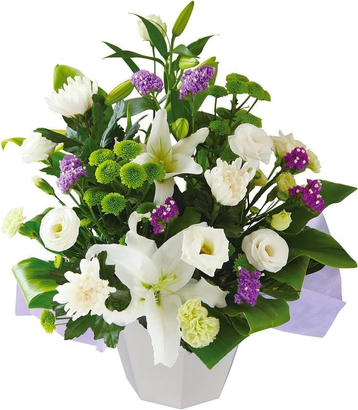 ������ �� ������ʪ ���� �����ʤ� ������� ���� ����� ���� ̿�� �������