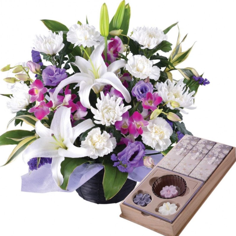 ������ �� ���� ������ʪ ���� �����ʤ� ������� ���� ����� ���� ̿�� ������