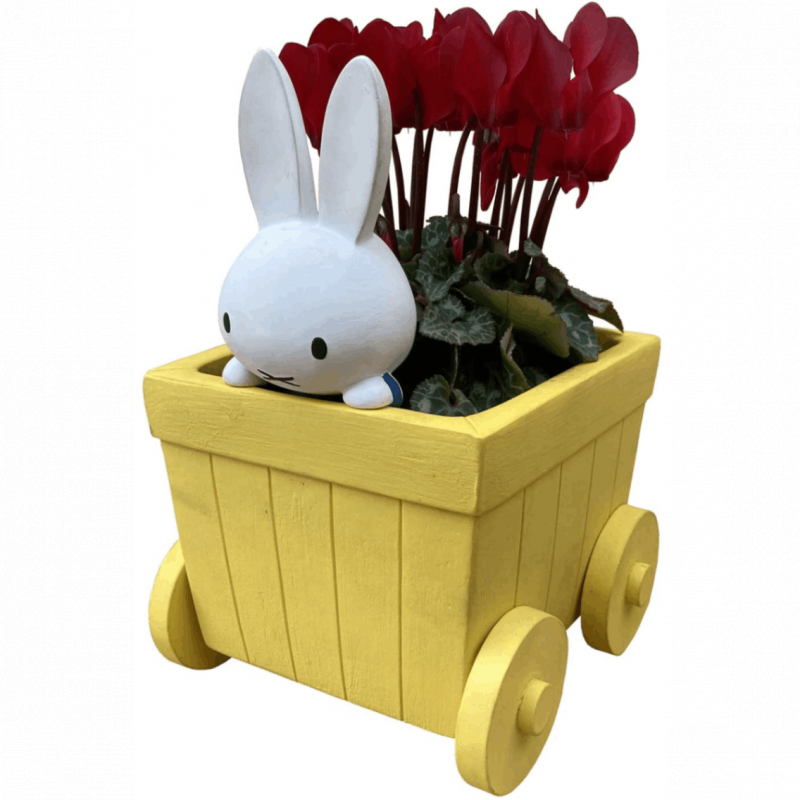 ߥåե Miffy  β ȭ å   ե