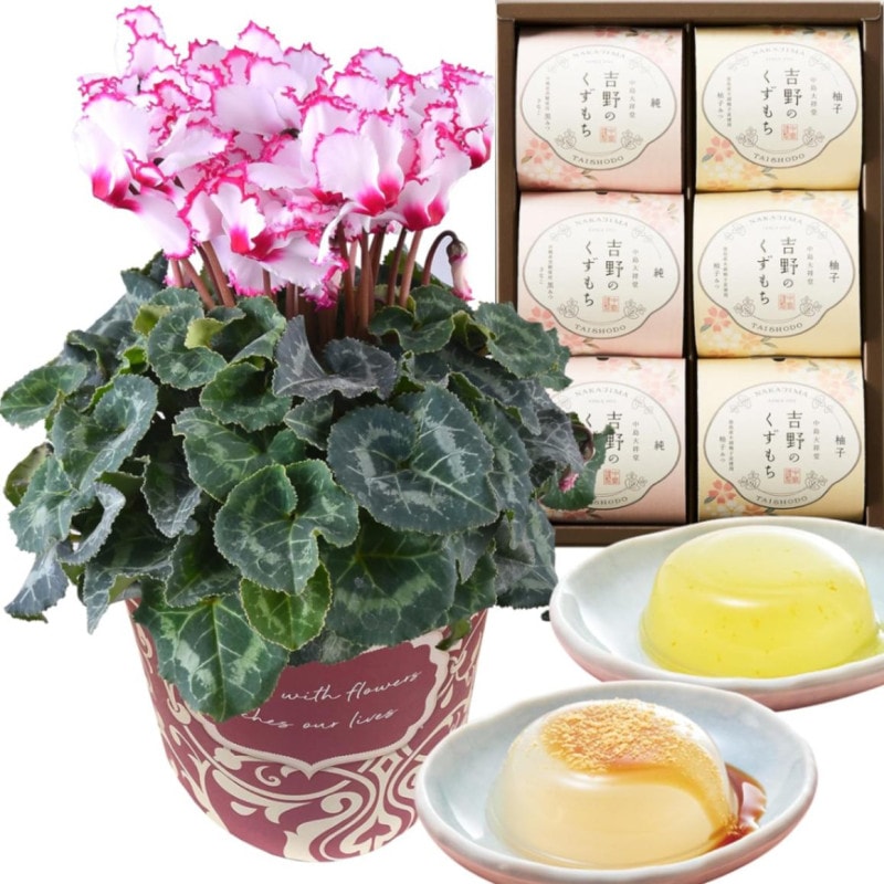  ե ץ쥼  ȭ ȭ  5ȭ ӥȥꥢ ۻ