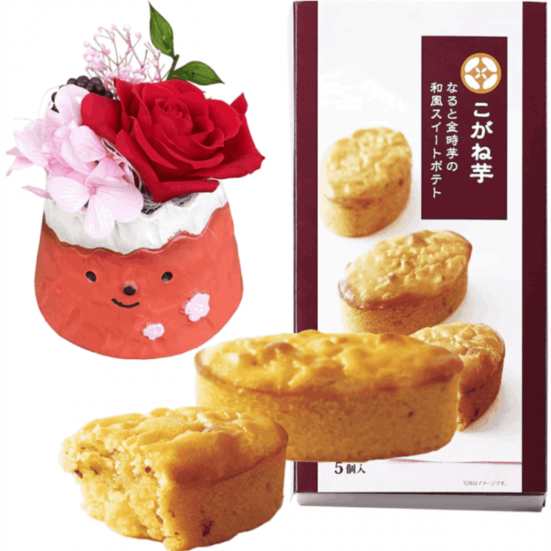 �� ���֤� �ץ쥼��� ���� ���ۻ� �����Ͱ� �²ۻ� ���ե� ������