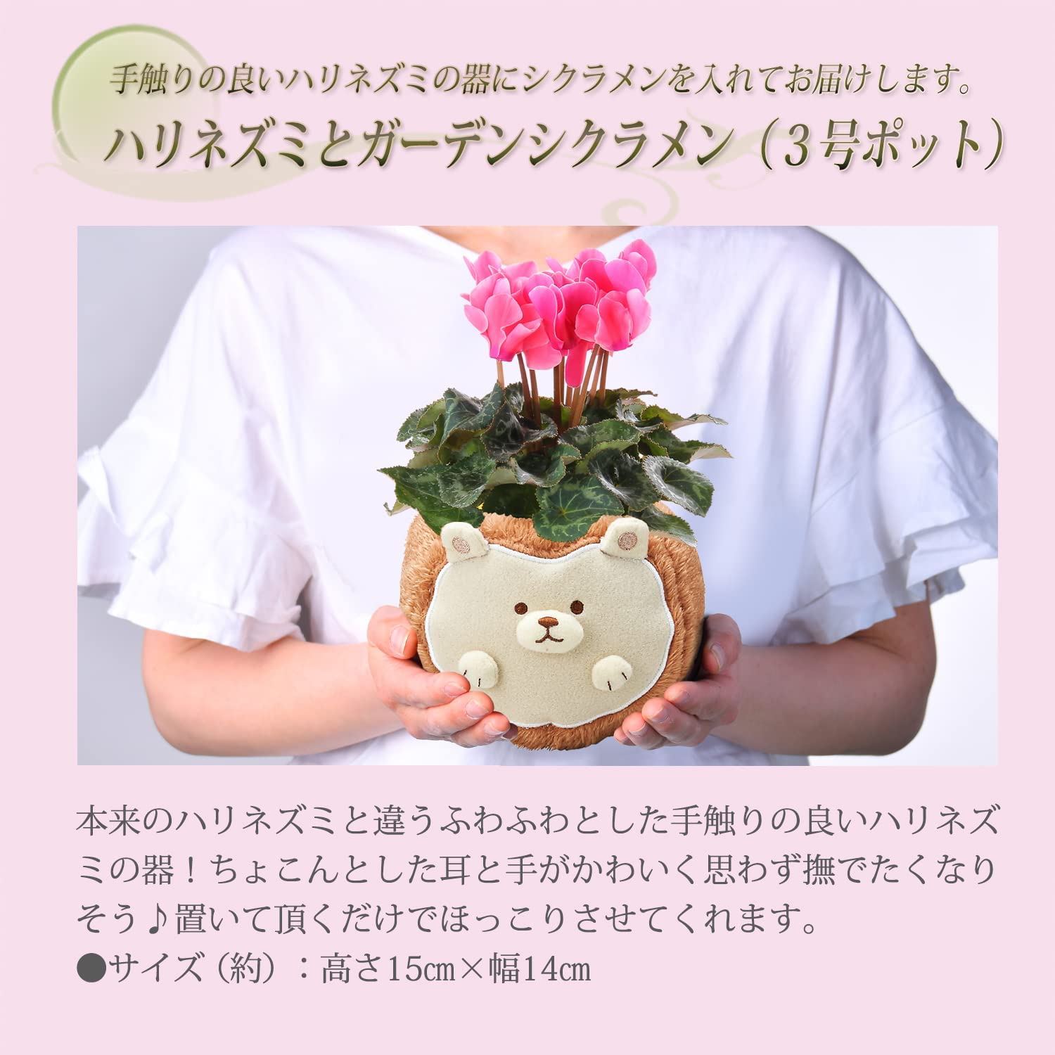 シクラメン シクラメン花 プレゼント ギフト ガーデンシクラメン 花 シクラメン鉢植え Happyなお祝いに贈りたい 安心と感動を送る フラワーギフト 花のギフト社 シクラメン シクラメン花 プレゼント ギフト ガーデンシクラメン 花 シクラメン鉢植え Happyなお祝いに贈りたい 安心と感動を送る フラワーギフト 花のギフト社