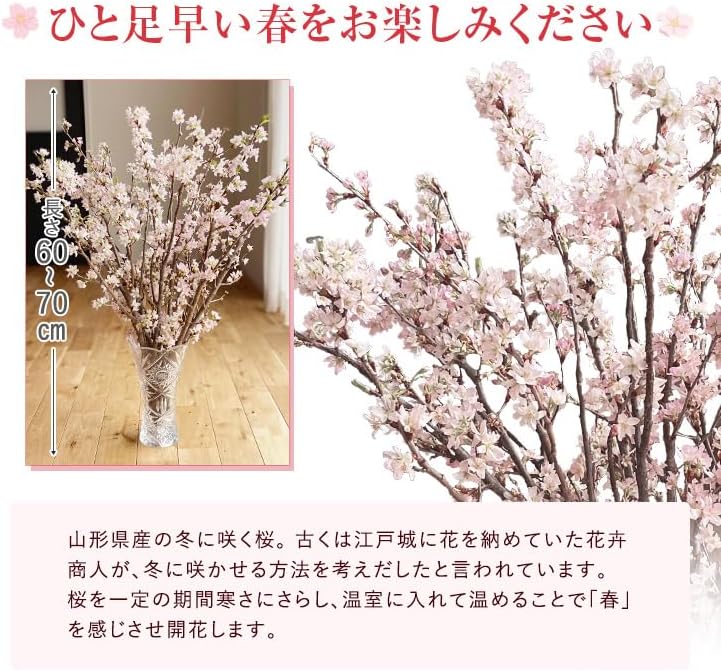 ♦️♦️♦️♦️月の花 ♦️1月から12月のセット♦️12冊セットお得 ♦️♦️♦️♦️月の花 ♦️1月から12月のセット♦️12冊セット
