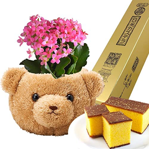 󥳥 ¿ʪ  դդ Хå   ƥ ȭ 