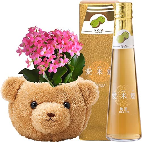 󥳥 ¿ʪ  դդ Хå ټ¤ ߼ ơ̥  