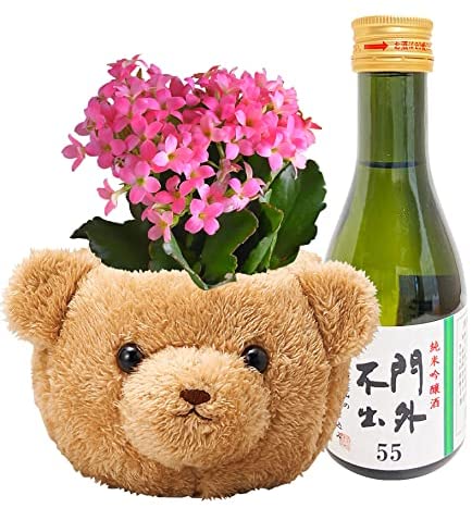 󥳥 ¿ʪ  դդ Хå 糰Խ ټ¤ ƶ ϼ