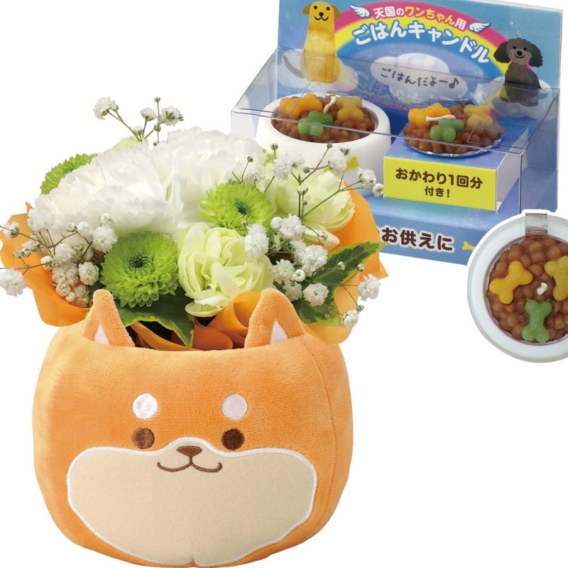 ������ �� �ڥå� ������ʪ ���� �����ʤ� ������� ����� ���� ̿�� ��������