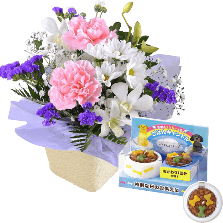 ������ �� �ڥå� ������ʪ ���� �����ʤ� ������� ����� ���� ̿�� ��������