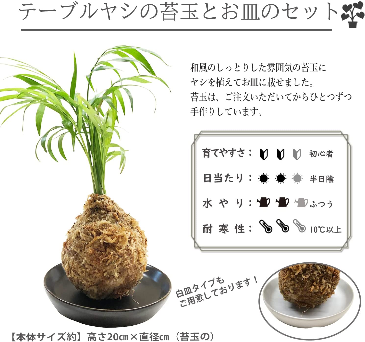苔玉 ヤシ 苔 観葉植物 プレゼント 誕生日 ギフト グリーン インテリア
