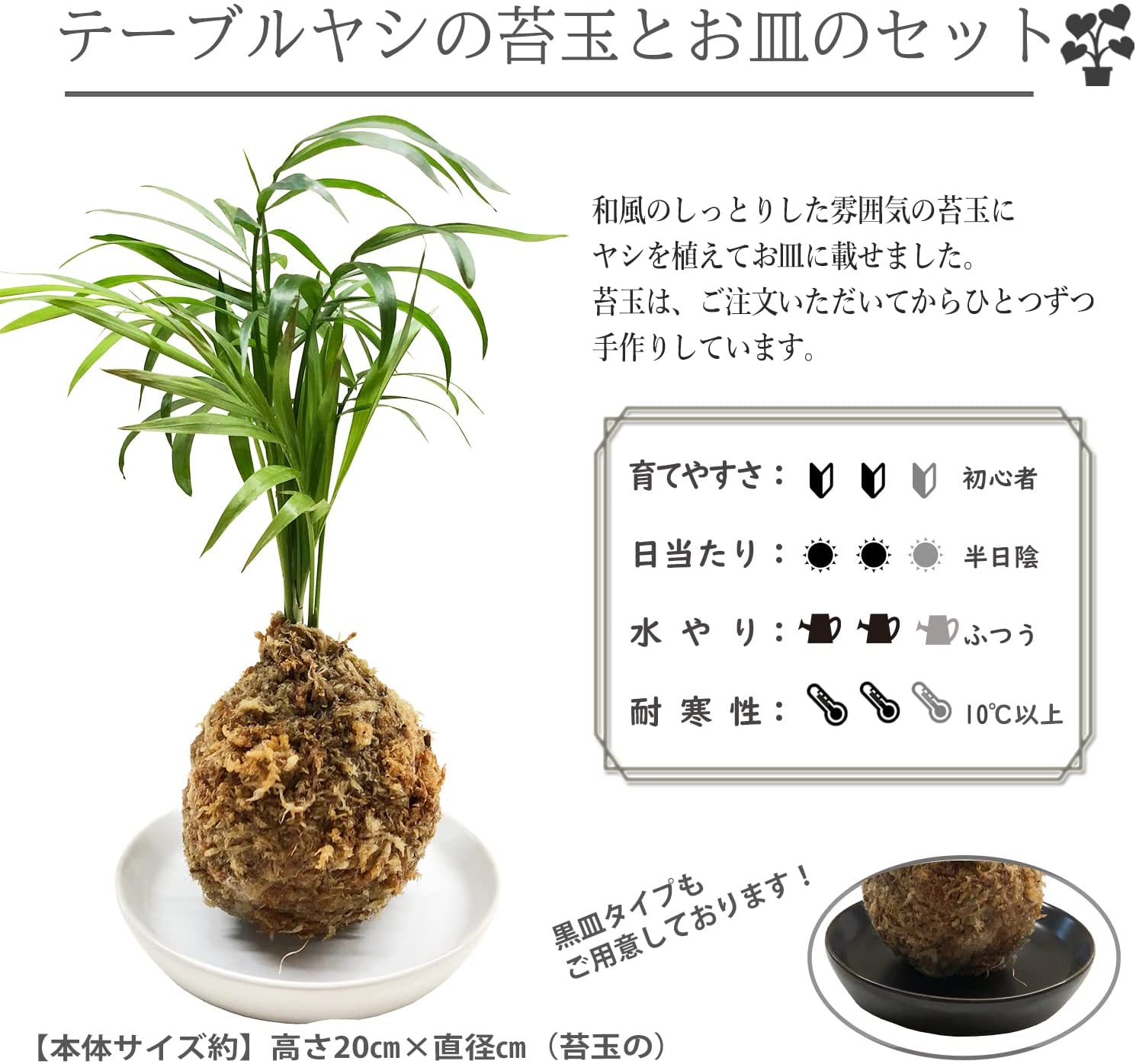 苔玉 ヤシ 苔 観葉植物 プレゼント 誕生日 ギフト グリーン インテリア