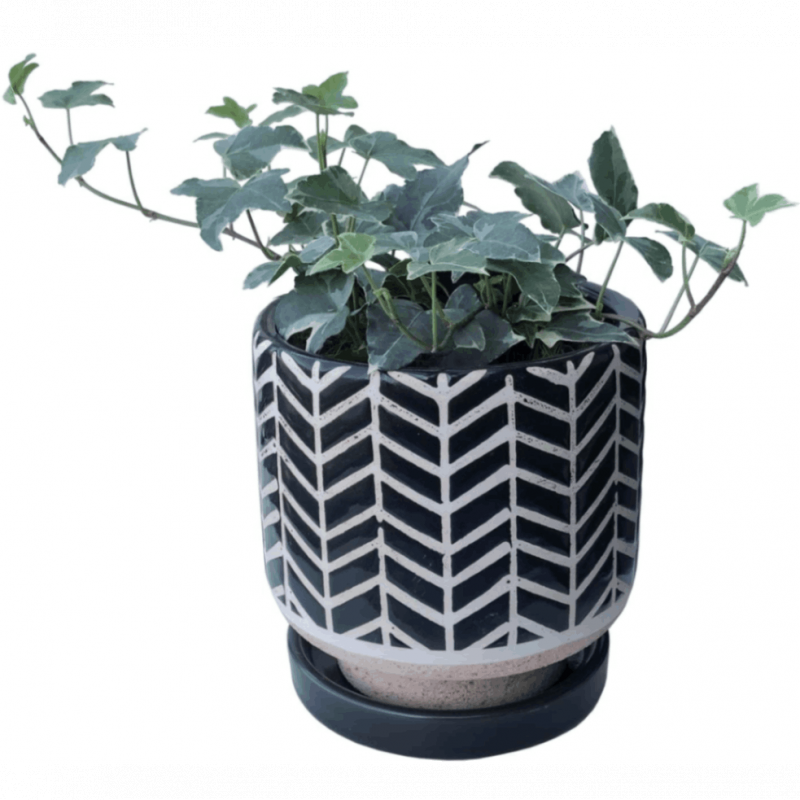 �����ӡ� ��ʪ ƫ�� ȭ���� ���տ�ʪ ����ƥꥢ ���꡼�� ��ʪ ���ե�