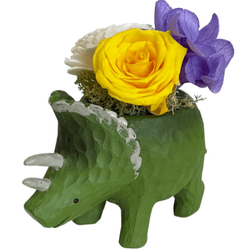 ץꥶ֥ɥե ƥꥢ ץ ե ε ߥ˥ݥå ߥ ץե