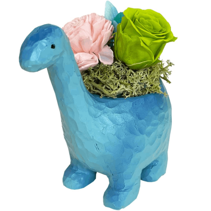 ץꥶ֥ɥե ε ƥꥢ ץ ե ߥ˥ݥå ߥ ץե