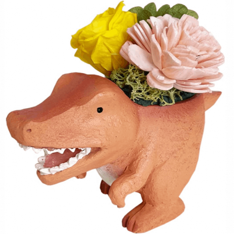 ץꥶ֥ɥե ƥꥢ ץ ե ε ߥ˥ݥå ץ ץե