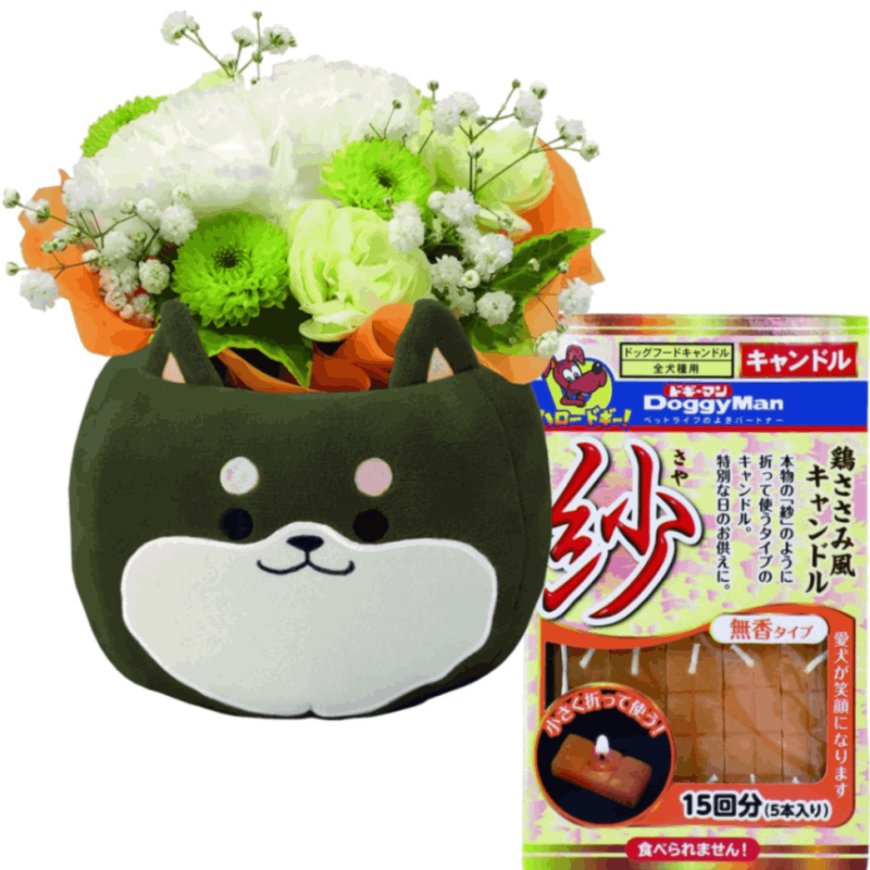 ������ �� �� ������ʪ ���� �����ʤ� ������� ����� ���� ̿�� �������� ʩ��