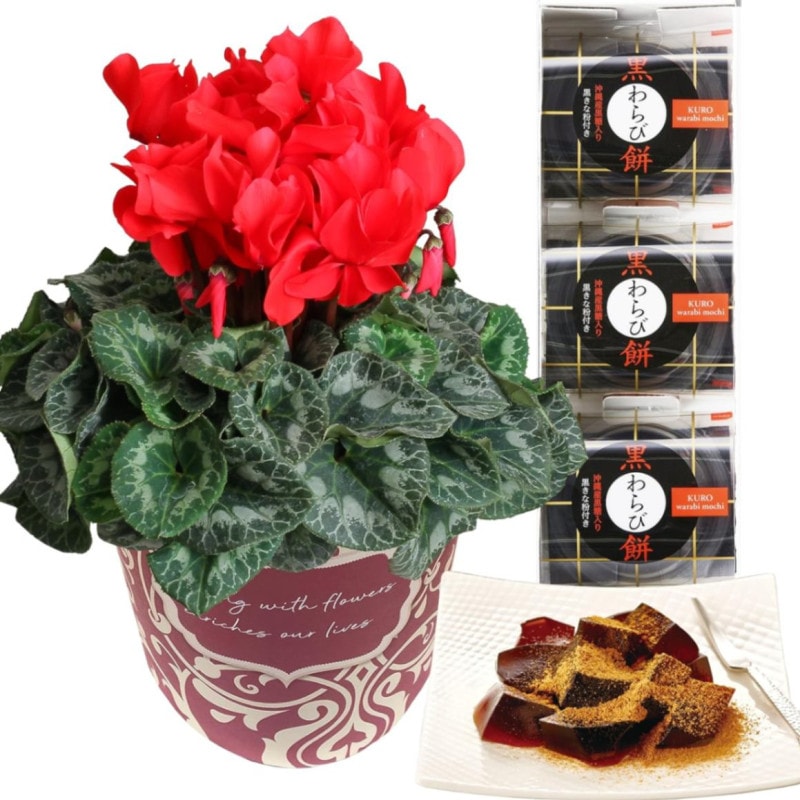  ե ץ쥼  ȭ ȭ  5ȭ  ۻ 