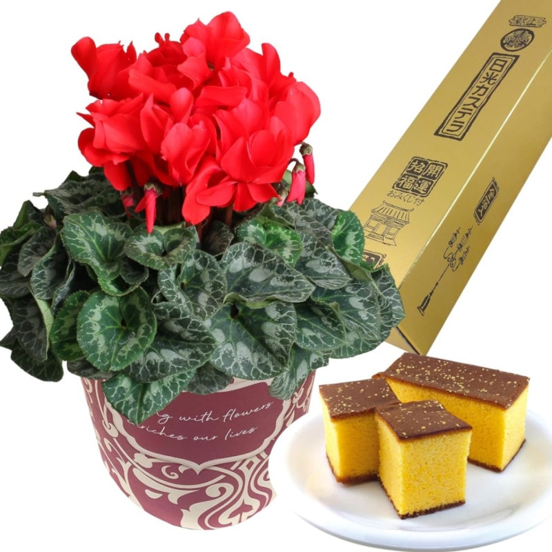  ե ץ쥼  ȭ ȭ  5ȭ  ۻ ²ۻ