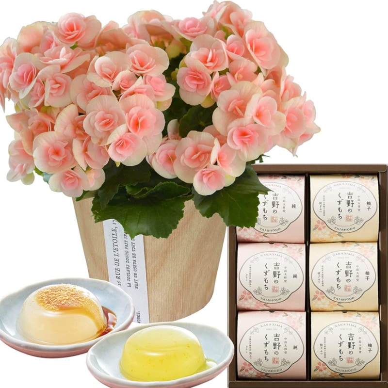 ꡼ ٥˥  ե  ץ쥼 ꡼٥˥ ȭ ȭ