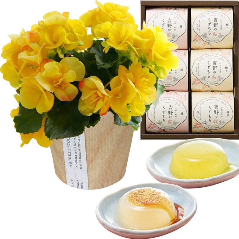 ꡼ ٥˥  ե  ץ쥼 ꡼٥˥ ȭ ȭ