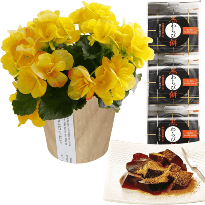 ꡼ ٥˥  ե  ץ쥼 ꡼٥˥ ȭ ȭ