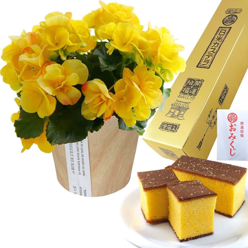 ꡼ ٥˥  ե  ץ쥼 ꡼٥˥ ȭ ȭ