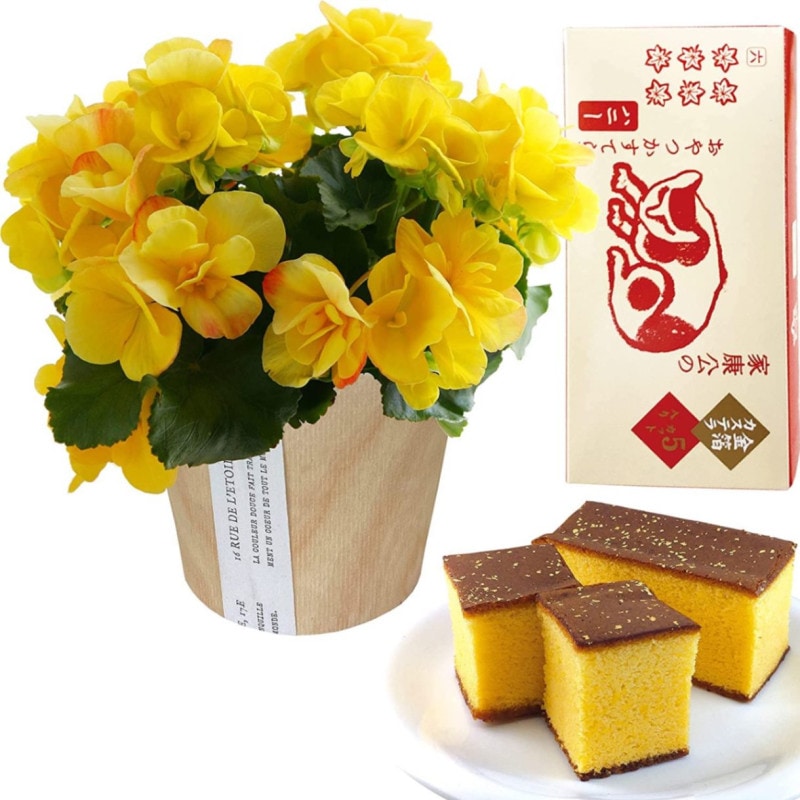 ꡼ ٥˥  ե  ץ쥼 ꡼٥˥ ȭ ȭ