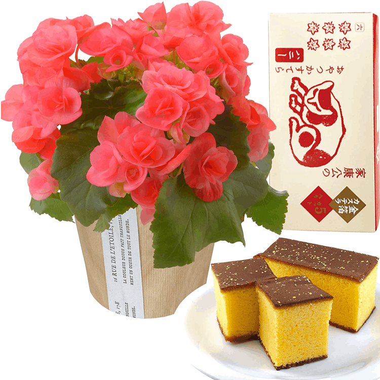 ꡼ ٥˥  ե  ץ쥼 ꡼٥˥ ȭ ȭ