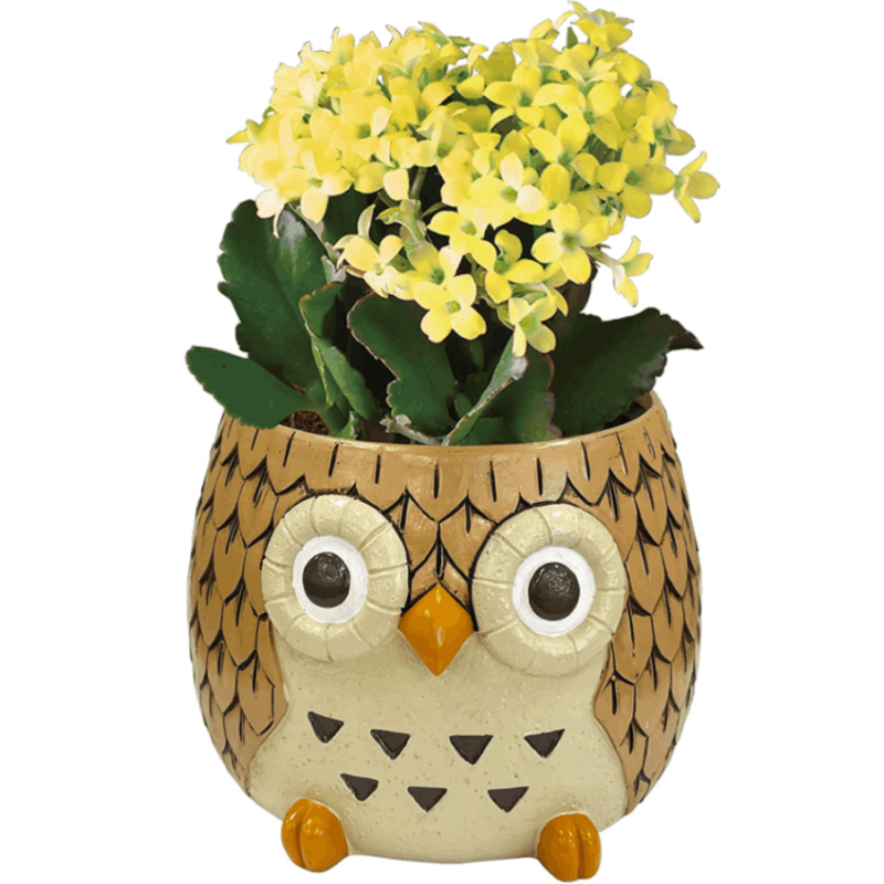 �ե����� ��ʪ �ե���������ʪ �� �� ����󥳥� ȭ���� ��ȭ ȭ ����󥳥�ȭ����