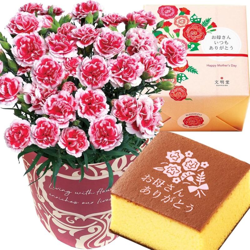 ����� �֤ȥ������� �� ȭ���� �����͡������ ��ȭ �ץ쥼��� ���ۻ� ��������