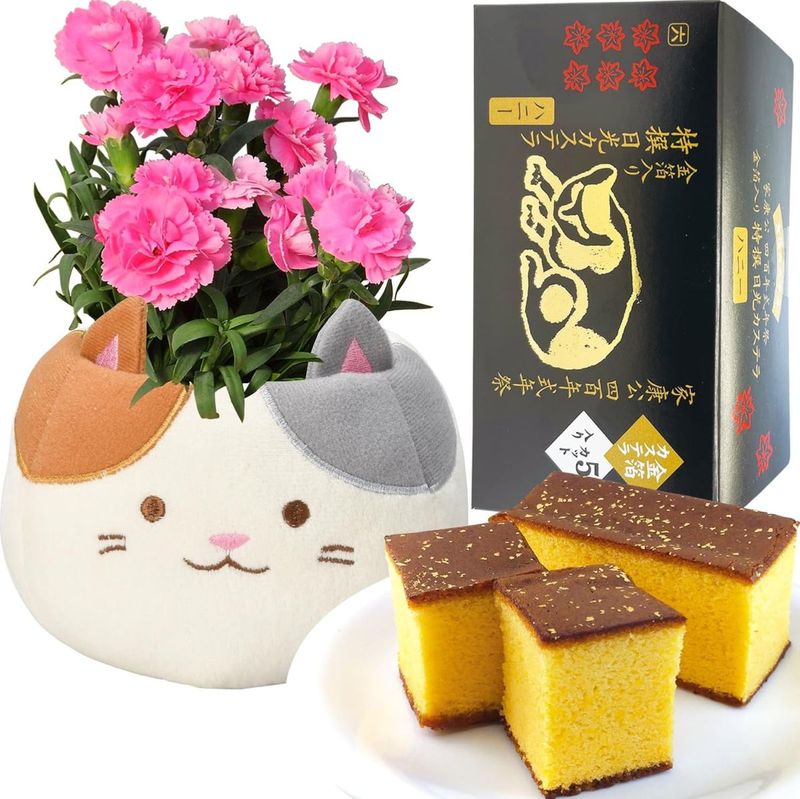  ֤ȥ  ȭ ͡ ȭ ץ쥼 ۻ 