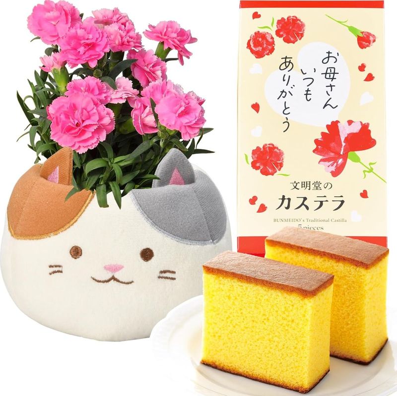 母の日 花とスイーツ 花 鉢植え カーネーション 花鉢 プレゼント お菓子 スイーツ
